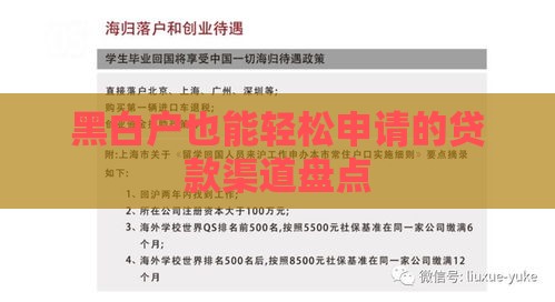 黑白户也能轻松申请的贷款渠道盘点