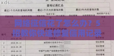 网络征信花了怎么办？5招教你快速修复信用记录