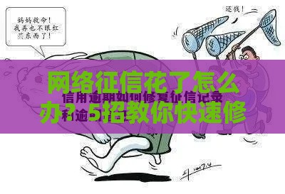 网络征信花了怎么办？5招教你快速修复信用记录