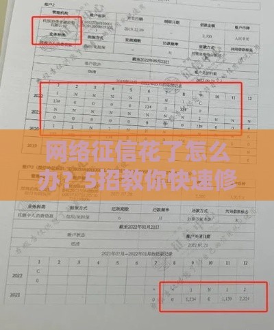 网络征信花了怎么办？5招教你快速修复信用记录