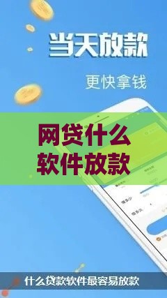 网贷什么软件放款快容易过？这5个平台亲测有效
