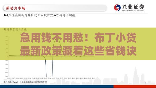 急用钱不用愁！布丁小贷最新政策藏着这些省钱诀窍