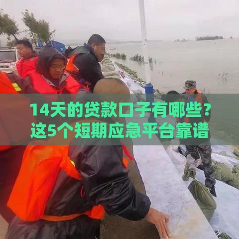 14天的贷款口子有哪些？这5个短期应急平台靠谱推荐