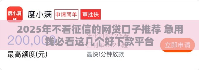2025年不看征信的网贷口子推荐 急用钱必看这几个好下款平台