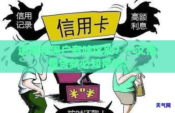 逾期和黑户有啥区别？一文搞懂贷款必知常识！