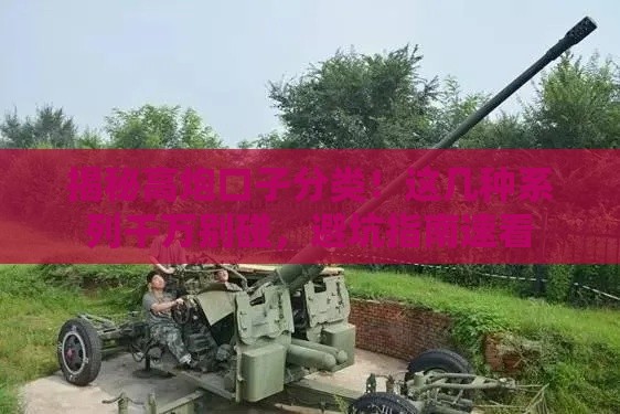 揭秘高炮口子分类！这几种系列千万别碰，避坑指南速看
