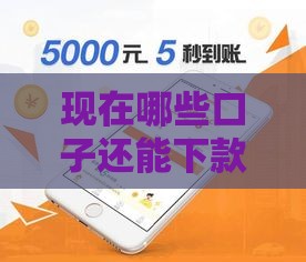 现在哪些口子还能下款？最新盘点10个正规下款快的网贷平台