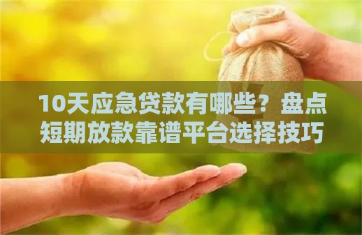 10天应急贷款有哪些？盘点短期放款靠谱平台选择技巧