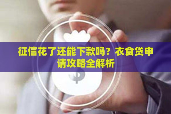 征信花了还能下款吗？衣食贷申请攻略全解析