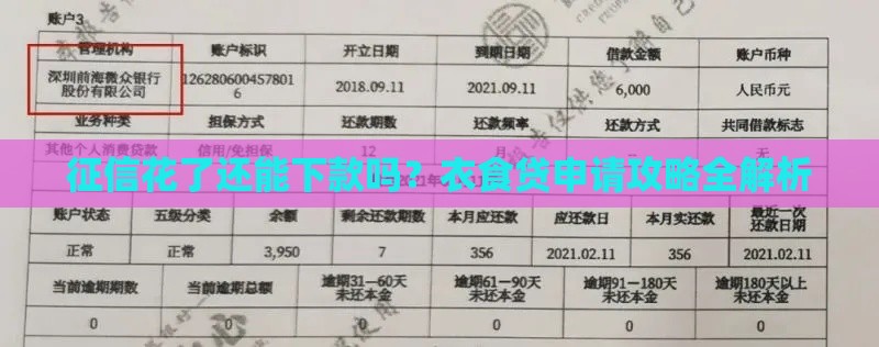 征信花了还能下款吗？衣食贷申请攻略全解析