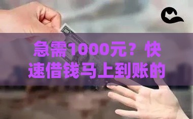 急需1000元？快速借钱马上到账的5个靠谱方法，应急首选！