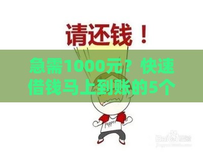 急需1000元？快速借钱马上到账的5个靠谱方法，应急首选！