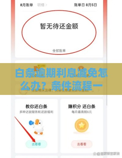 白条逾期利息减免怎么办?条件流程一文说清 白条逾期利息减免怎么办?条件流程一文说清