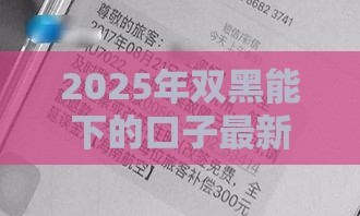 2025年双黑能下的口子最新！急用钱必看的5个良心推荐
