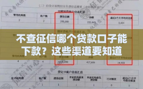 不查征信哪个贷款口子能下款？这些渠道要知道