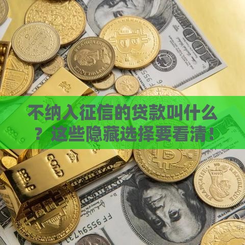 不纳入征信的贷款叫什么？这些隐藏选择要看清！