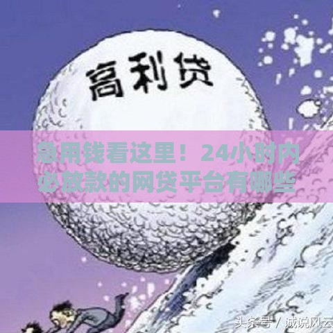 急用钱看这里！24小时内必放款的网贷平台有哪些？