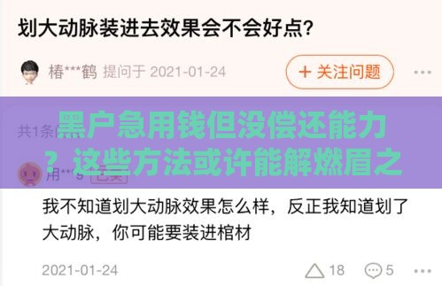 黑户急用钱但没偿还能力？这些方法或许能解燃眉之急