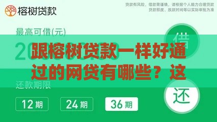 跟榕树贷款一样好通过的网贷有哪些？这5款低门槛、秒批平台别错过！