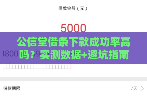 公信堂借条下款成功率高吗？实测数据+避坑指南