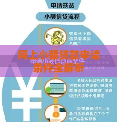 网上小额贷款申请条件全解析