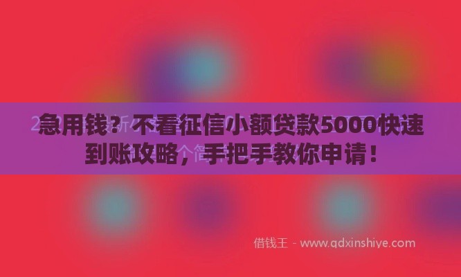 急用钱？不看征信小额贷款5000快速到账攻略，手把手教你申请！