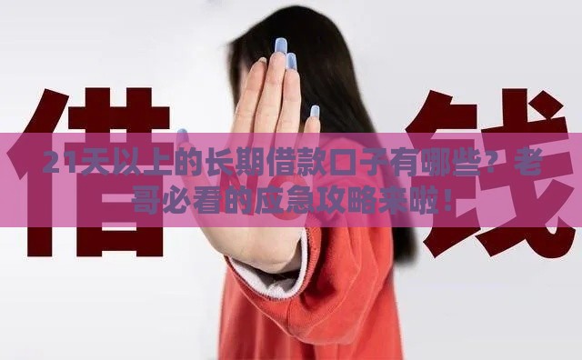 21天以上的长期借款口子有哪些？老哥必看的应急攻略来啦！