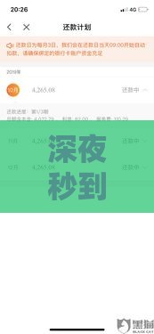 深夜秒到账的正规借款平台怎么选