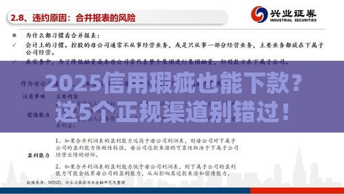 2025信用瑕疵也能下款？这5个正规渠道别错过！