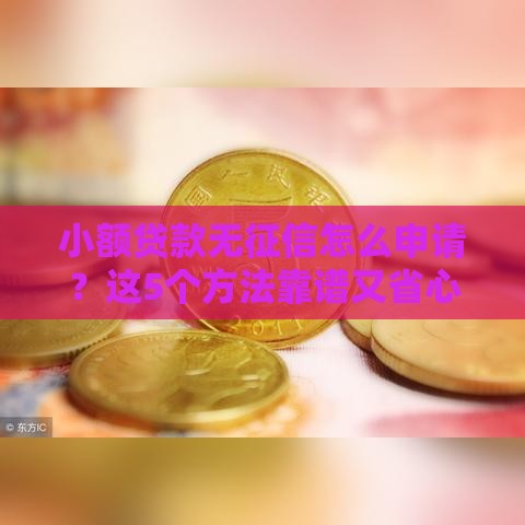 小额贷款无征信怎么申请？这5个方法靠谱又省心