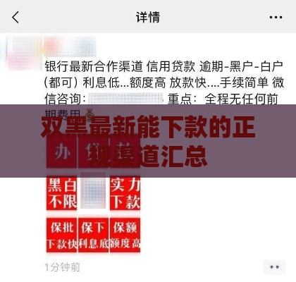 双黑最新能下款的正规渠道汇总