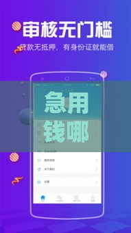 急用钱哪里借靠谱？实测5个快速到账平台攻略