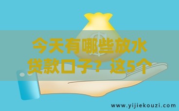 今天有哪些放水贷款口子？这5个低门槛渠道别错过！