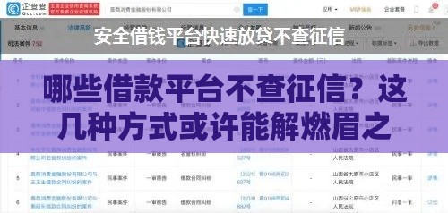 哪些借款平台不查征信？这几种方式或许能解燃眉之急