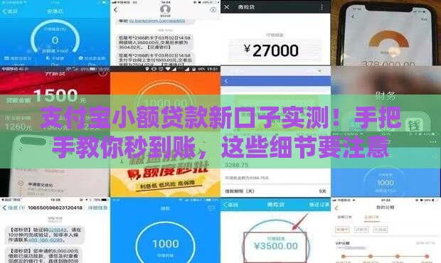 支付宝小额贷款新口子实测！手把手教你秒到账，这些细节要注意