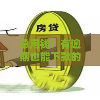 急用钱！有逾期也能下款的平台吗？实测分享