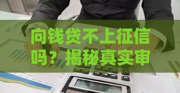 向钱贷不上征信吗？揭秘真实审核流程，这些细节要注意！