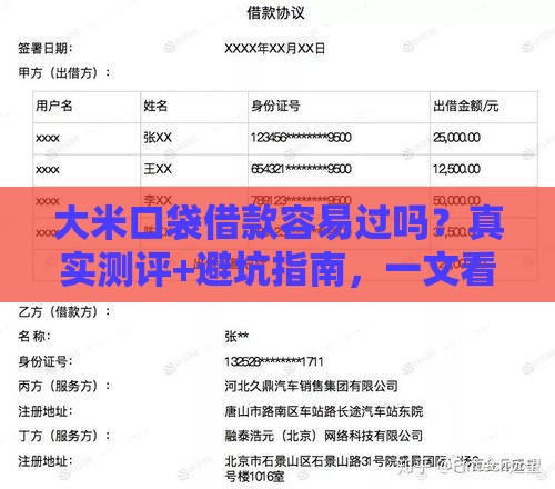 大米口袋借款容易过吗？真实测评+避坑指南，一文看懂审核流程！