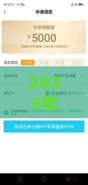 2025年整顿贷款口子后，普通人贷款该咋办？