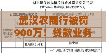 武汉农商行被罚900万！贷款业务风险警示，这些雷区别踩