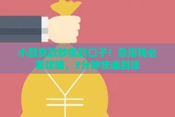 小额贷款秒批新口子！急用钱必看攻略，3分钟快速到账