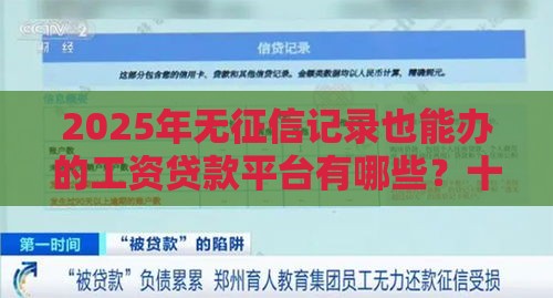 2025年无征信记录也能办的工资贷款平台有哪些？十大正规平台推荐