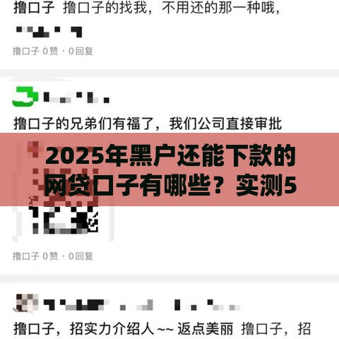 2025年黑户还能下款的网贷口子有哪些？实测5个靠谱平台