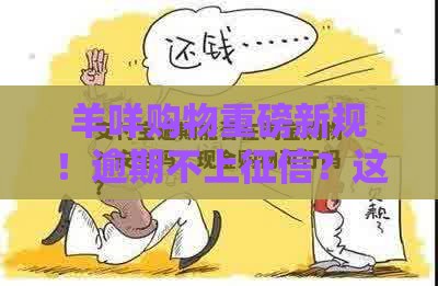 羊咩购物重磅新规！逾期不上征信？这波操作太良心