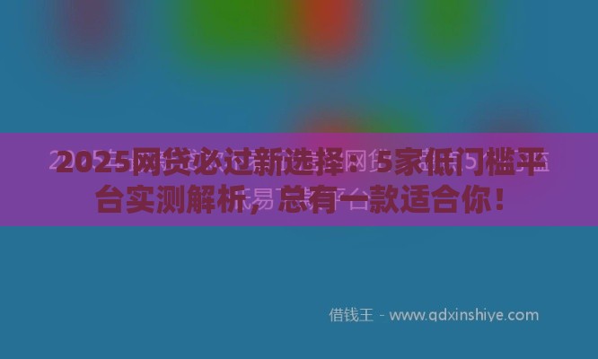 2025网贷必过新选择：5家低门槛平台实测解析，总有一款适合你！
