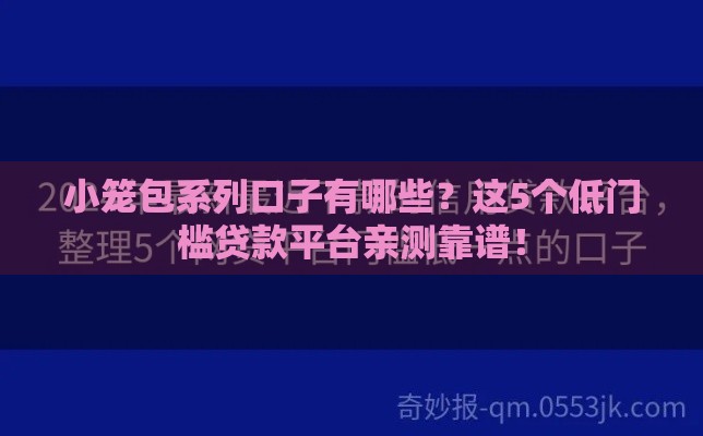 小笼包系列口子有哪些？这5个低门槛贷款平台亲测靠谱！