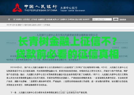 长青树金融上征信不？贷款前必看的征信真相解析！