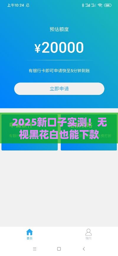 2025新口子实测！无视黑花白也能下款，这波操作太香了