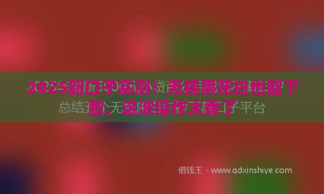 2025新口子实测！无视黑花白也能下款，这波操作太香了