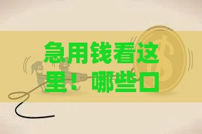 急用钱看这里！哪些口子能借48期？这几家靠谱平台值得一试